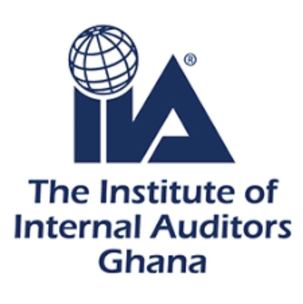 The Institute of Internal Auditors logo